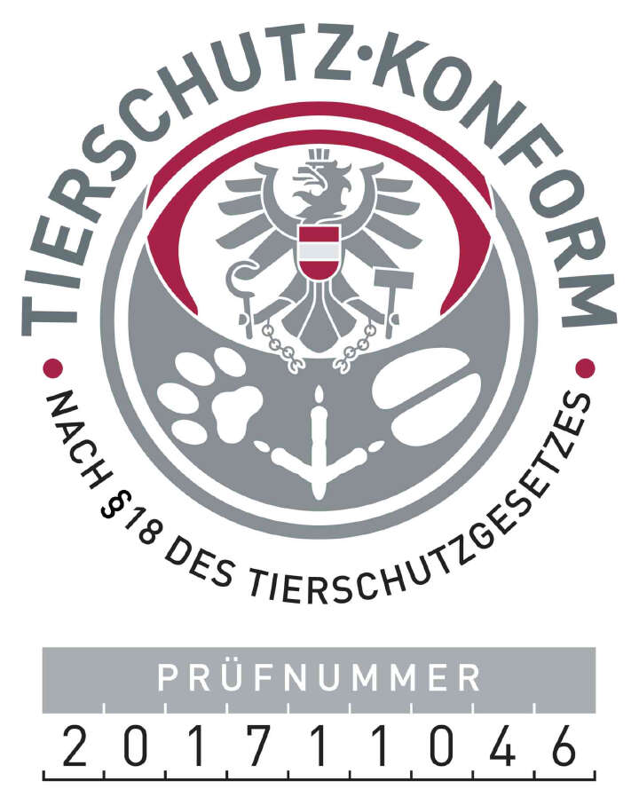 TRIXIE Cat Activity Fun Board XXL